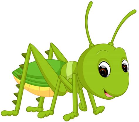 Royalty Free Cricket Animal Cartoon Clip Art, Vector Images ...