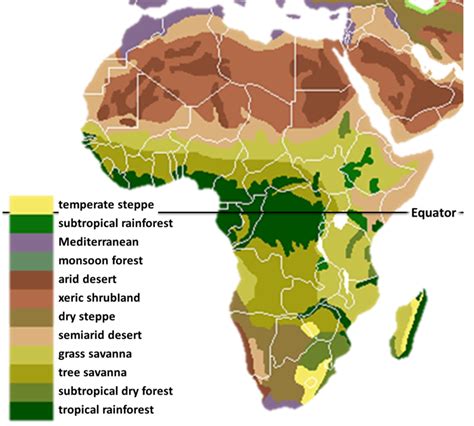 Category:Flora of Africa | Rainforest map, Biomes, African rainforest