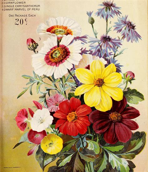 Flowers Vintage Floral Display Free Stock Photo - Public Domain Pictures