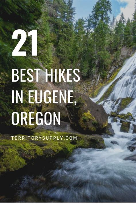 The 7 Best Hikes around Eugene, Oregon | Oregon travel, Oregon road ...