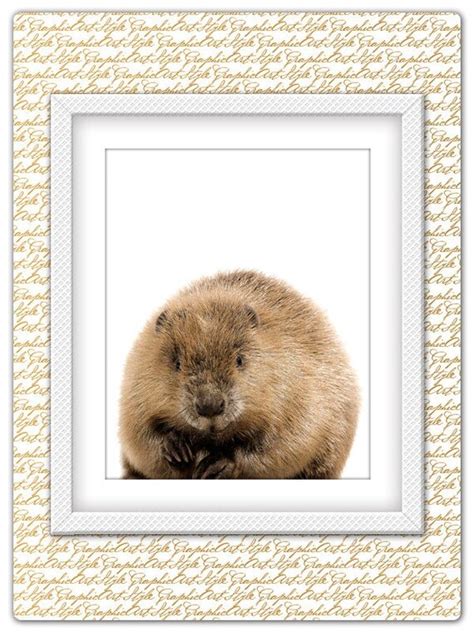 Beaver print Beaver art Beaver poster Animal print Animal