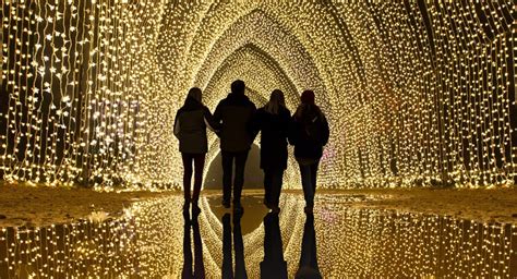 The Internationally-Acclaimed 'Lightscape' Returns To Fort Worth Botanic Garden