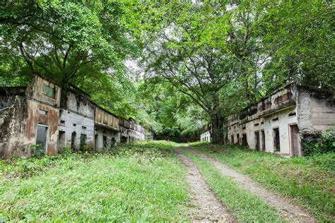 One of the streets of the destroyed Armero Town covered by trees and nature after 37 years of ...