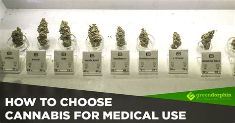 How to Choose the Best Cannabis Strains for Medical Needs ...