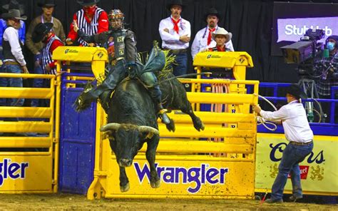 Bull rider Parker Breding hoping to get his rodeo 'groove' back ...