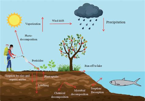 (Part 1) -Let's Scratch The Surface of POPs (Persistence Organic Pollutants)