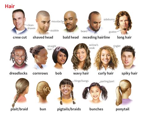 hair noun - Definition, pictures, pronunciation and usage notes ...