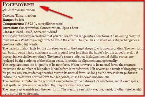 Polymorph D&D 5th Edition - D&D 5e Character Sheets