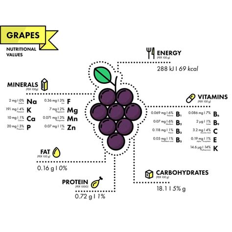 15 Different Types of Grapes