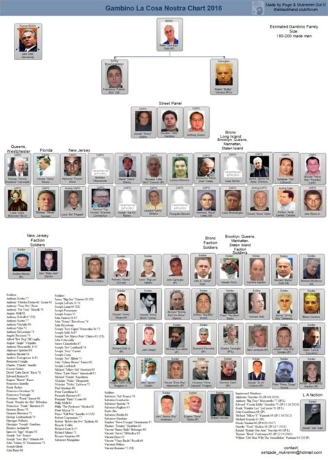 2016 Mafia Leadership Charts | About The Mafia