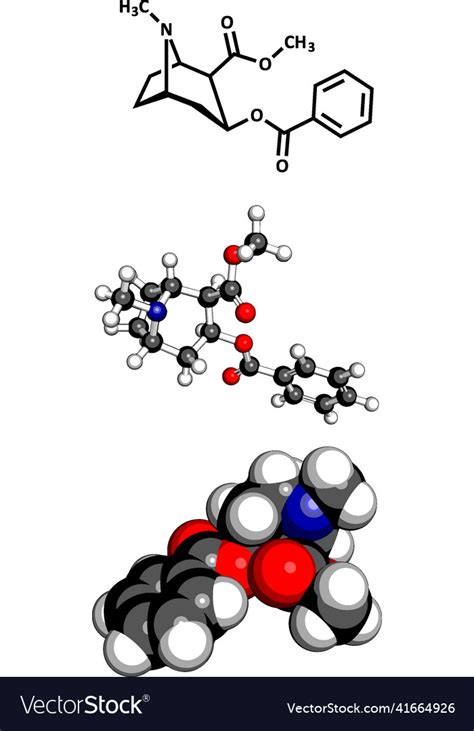 Cocaine drug molecular model Royalty Free Vector Image