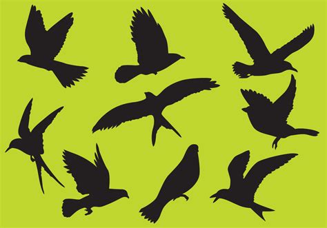 Bird Vectors 93802 Vector Art at Vecteezy