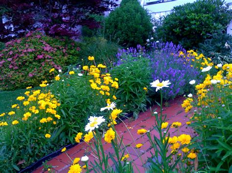 front walkway summer flowers | Garden walkway, Perennial garden, Garden