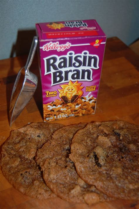 Cookie 365: Cookie #9 - Raisin Bran Cookies