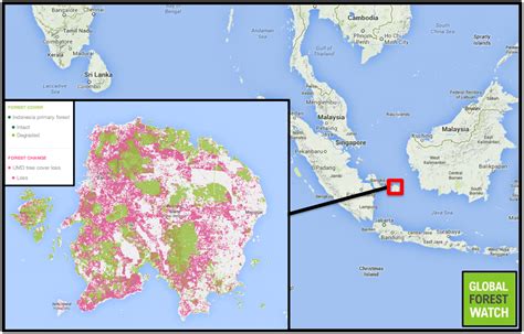 Tin mining, palm oil plantations wreaking havoc on small Indonesian island