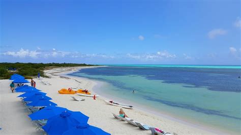 Best Places for Snorkeling in Cozumel | Celebrity Cruises