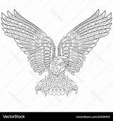 Eagle Coloring Page sketch template