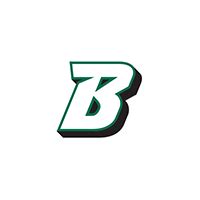 Download Binghamton Bearcats Icon Logo Vector & PNG