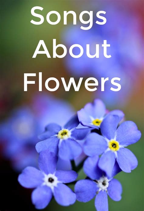 71 Songs About Flowers - Spinditty