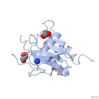 Glutathione peroxidase - Proteopedia, life in 3D