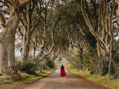 Dark Hedges Northern Ireland Guide - Game Of Thrones Filming Location (2024)!