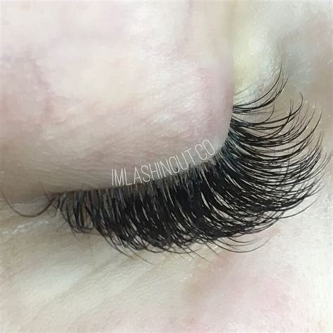 Untitled — Hybrid Lashes are a combination of Classic 1:1...