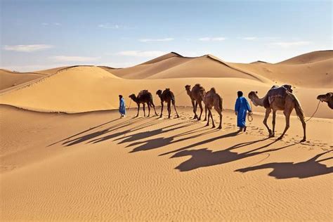 Excursion de 2 jours dans le désert à Agadir 2022 (Garantie du prix le plus bas) - Viator