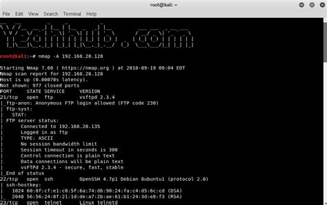 5 Most Commonly Used Nmap Commands - Yeah Hub