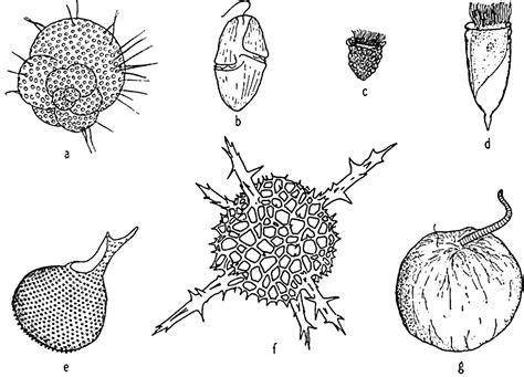 The Oceans Their Physics, Chemistry, and General Biology "d3_3_ch17"