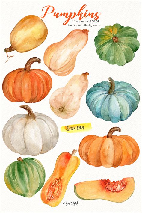 Watercolor Pumpkins Clipart Fall Clipart Fall Autumn - Etsy