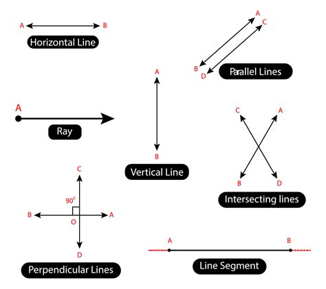 Horizontal, Vertical, Parallel, Intersecting lines, Perpendicular lines, Line Segment and Ray in ...
