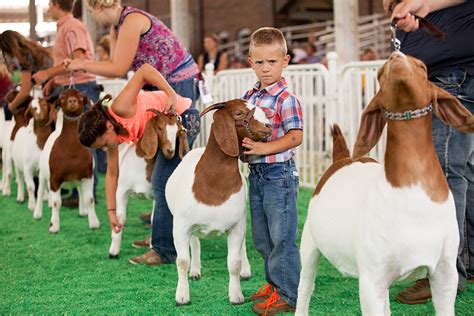 The Iowa State Fair: Celebrating an American tradition - CSMonitor.com