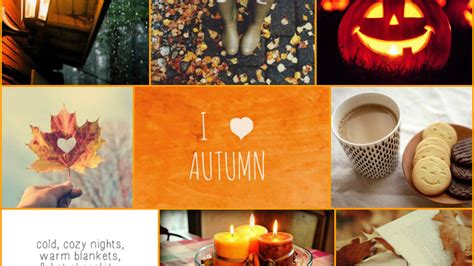 Pumpkin Lights Cookes Candles Autumn Season HD Fall Collage Wallpapers ...