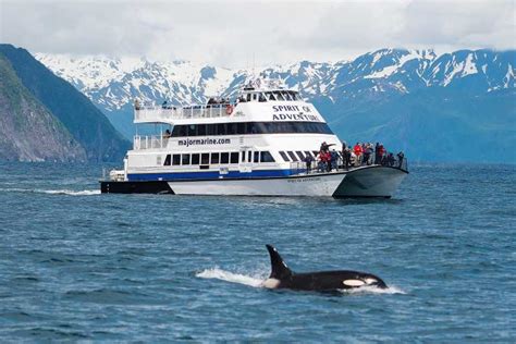 From Seward: Kenai Fjords National Park Cruise with Lunch | GetYourGuide