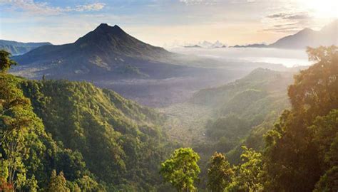 KINTAMANI VOLCANO TOUR | Excellent Services by Tripadvisor - Bali Custom Tour