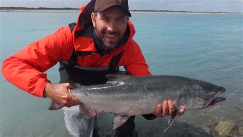 Salmon Fishing - Braided Rivers Fishing Guides | Activity in Christchurch - Canterbury, New Zealand