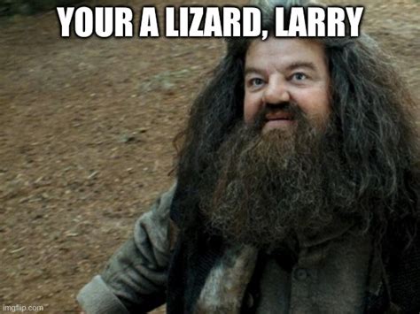 Your a wizard Harry - Imgflip