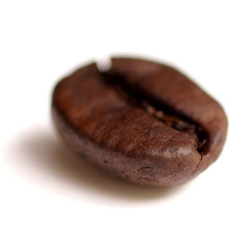 Datei:Coffee bean transparent.png – Wikipedia