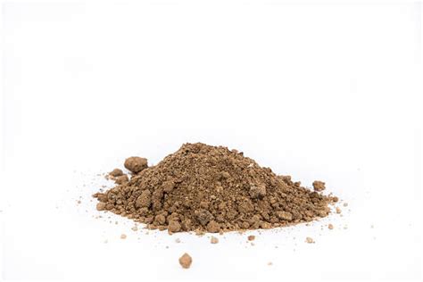 Best Dirt Pile Stock Photos, Pictures & Royalty-Free Images - iStock