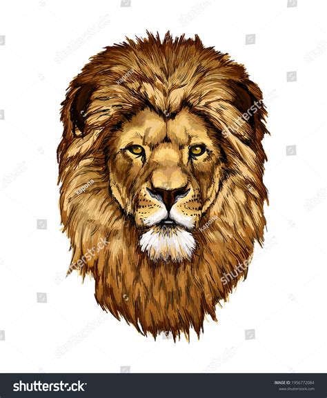 Lion Head Portrait Splash Watercolor Colored Stock Vector (Royalty Free) 1956772084 | Shutterstock