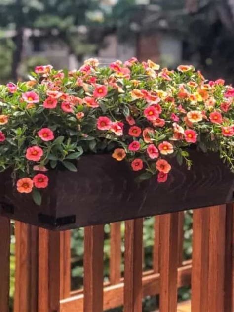 EASY DIY RAILING PLANTER BOXES - The Handyman's Daughter