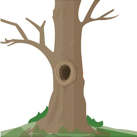 tree trunk clip art 10 free Cliparts | Download images on Clipground 2025