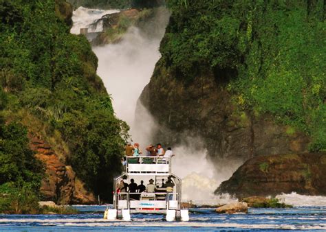 Wildlife in Murchison Falls National Park