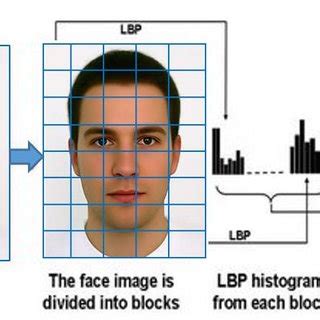 (PDF) Enhanced Human Face Recognition Using LBPH Descriptor, Multi-KNN, and Back-Propagation ...