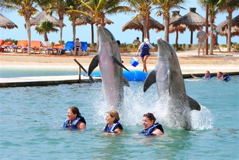 Dolphin swim at Cancun Dreams Resort. | Flamingo cancun resort, Dreams resorts, Cancun