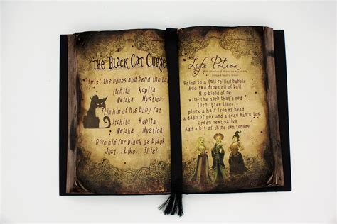 Haunted Witch Hocus Pocus Human Skin Spell Book - seensociety.com