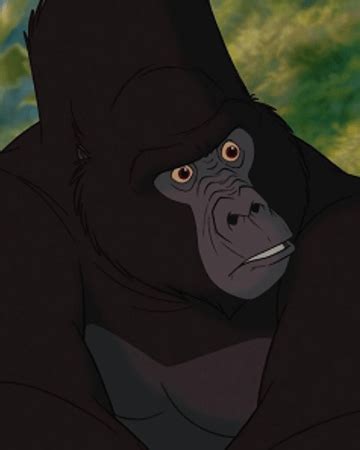 In Tarzan (1999) Kerchak feels threatened by Tarzan's presence. This is because humans have ...