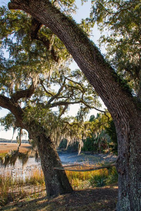 Wormsloe Plantation - Savannah Travel Blog And Guide - For 91 Days