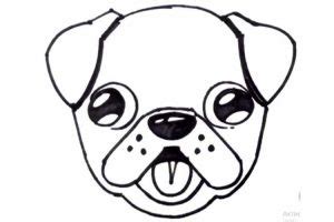 How to draw a Pug: Cute, Very Easy and separately his Face