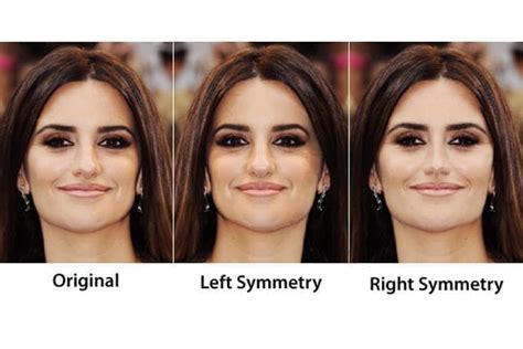 Face Symmetry of Celebrities | YouBeauty